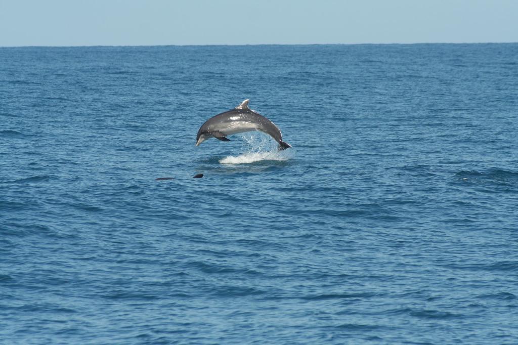 Vacanze A Viareggio Rom bilde