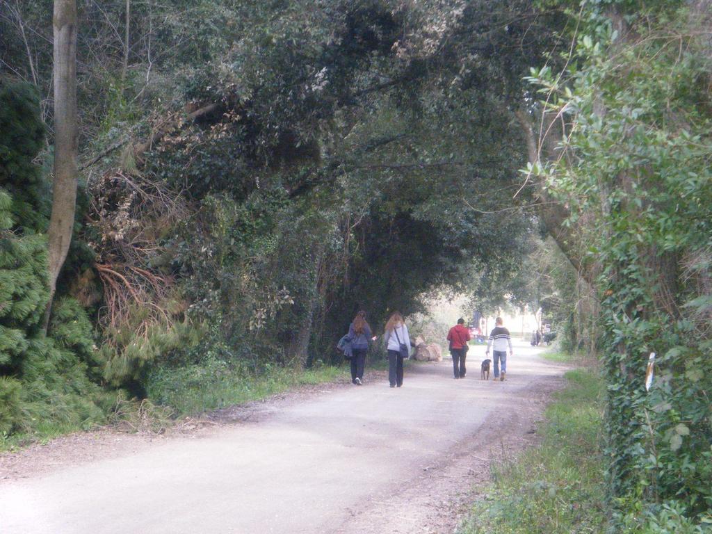 Vacanze A Viareggio Rom bilde
